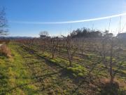 Villetta indipendente in vendita di 400 m² in Via Chiesa...