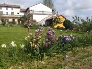 Villetta indipendente in vendita di 400 m² in Via Garibaldi