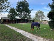 Villetta indipendente in vendita di 400 m² in Via Villa...