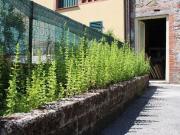 Villetta indipendente in vendita di 40 m² in Via Traversa