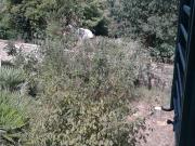 Villetta indipendente in vendita di 410 m² in Via del...