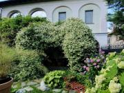 Villetta indipendente in vendita di 420 m²