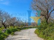 Villetta indipendente in vendita di 420 m² in Via...