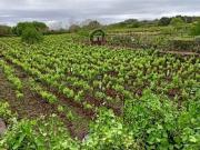 Villetta indipendente in vendita di 42 m²