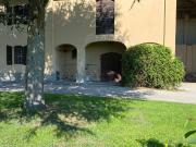 Villetta indipendente in vendita di 450 m² in Via Riccardina