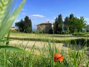 Villetta indipendente in vendita di 495 m²