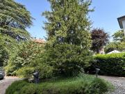 Villetta indipendente in vendita di 531 m² in Via C....