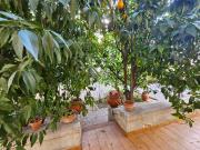 Villetta indipendente in vendita di 550 m² in Piazza...