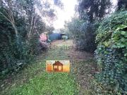 Villetta indipendente in vendita di 57 m² in Via Pistoiese