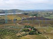 Villetta indipendente in vendita di 590 m² in Via...