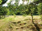 Villetta indipendente in vendita di 64 m² in Via poggio, 65