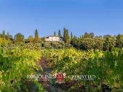 Villetta indipendente in vendita di 660 m²