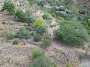 Villetta indipendente in vendita di 7131 m² in Contrada...