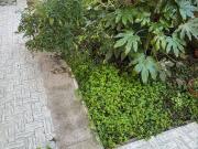 Villetta indipendente in vendita di 85 m² in Via Roma, 68