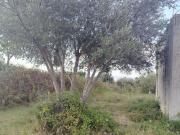 Villetta indipendente in vendita di 90 m² in Via Marmolada