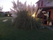 Villetta indipendente in vendita di 90 m² in Via Palmiro...