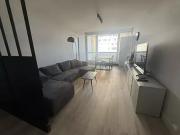 Villeurbanne 69100 Location appartement 6 pièces t6 balcon