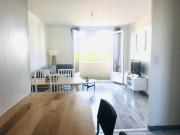 Villeurbanne Location Appartement 69