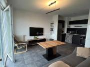 Villeurbanne Location Appartement 69