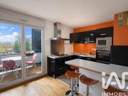 Villeurbanne Vente Appartement 69