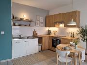 Villeurbanne Vente Appartement 69