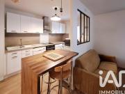 Villeurbanne Vente Appartement 69