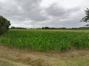 Villiers au Bouin 37330 Programme neuf terrain neuf à vendre