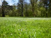 Villiers au Bouin 37330 Programme neuf terrain neuf à vendre