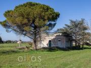 Villino storico da ristrutturare 127m² Francavilla Fontana