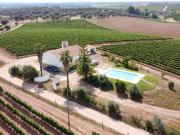 Vinha com 166 228m2, com benfeitoria projeto em Estremoz