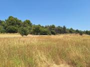 Vinon sur Verdon Vente Terrain 83