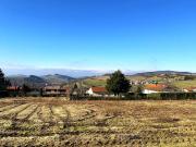 Violay Vente Terrain 42