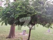 Vip 1 Bedroom Luxury Furnished Appartment Available For...