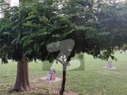 Vip 5 Marla Luxury Furnished House Available For Rent In...