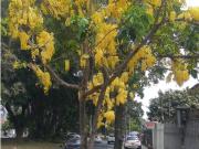 VIPASA CASA EN VENTA NORTE DE CALI COLOMBIA ECONOMICA 1