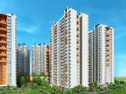 Virar West 1 BHK Apartment For Sale Mumbai