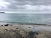 Virreina del Mar Unit 5: Se Alquila Condominio Frente al...