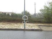 Viseu Viseu 46912669