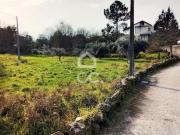 Viseu Viseu 80393751