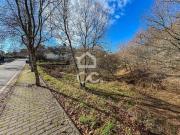 Viseu Viseu 97909506