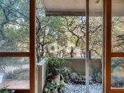 Vista a Jacarandas en Parque México