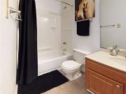 Vista Commons Apartments 2 Bedroom Apartment for Rent at...