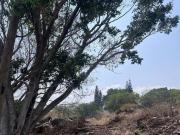 VISTA HERMOSA, privada con vigilancia