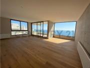 Vista Panorámica a la costa Norponiente Reñaca