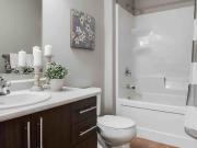 Vista Pointe 3 Bedroom Apartment for Rent at 404...