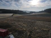 Vita Verde Niederthalheim TOP 3