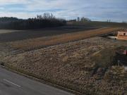 Vita Verde Niederthalheim TOP 5 Vita Verde Niederthalheim TOP 5