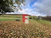 Vitry le Croisé 10110 Achat / Vente terrain