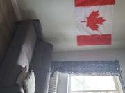 Viv Has an Apartment