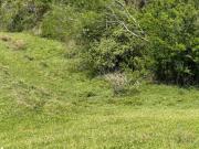 Viva Perto da Natureza em Alumínio SP — Terreno Imperdível!